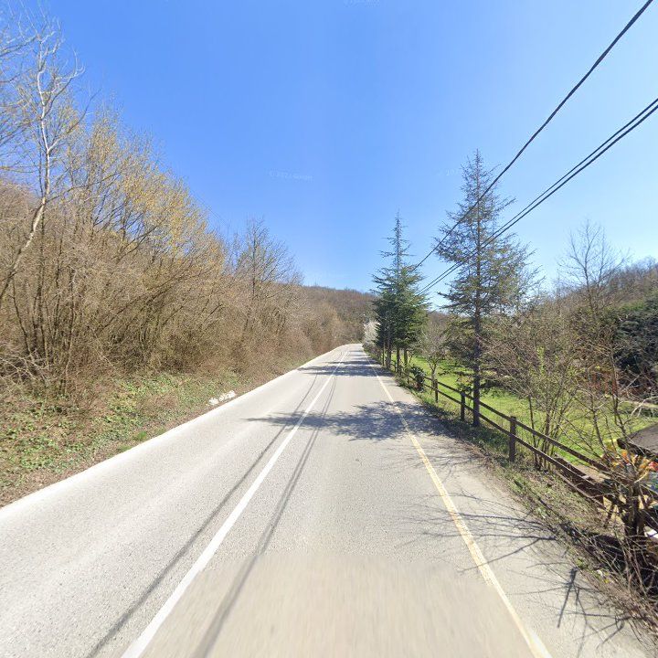 Fotoğraf 12