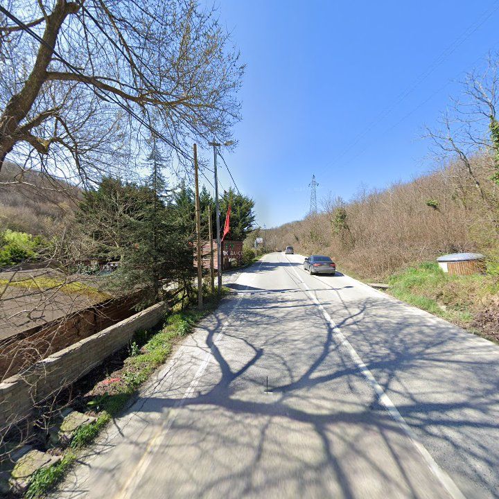 Fotoğraf 10