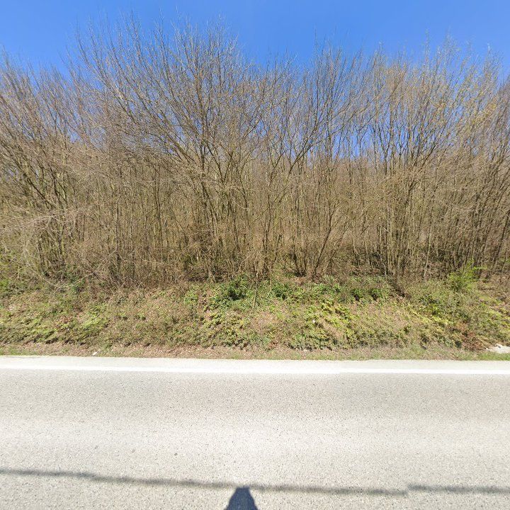 Fotoğraf 12