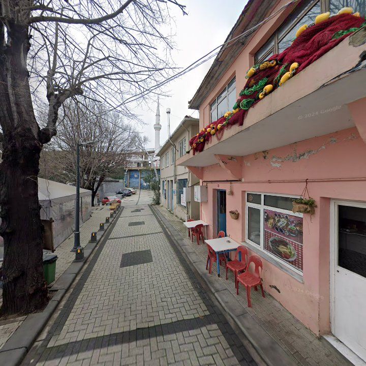 Fotoğraf 11