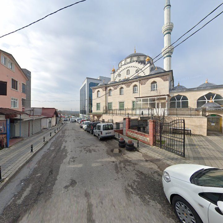 Fotoğraf 5