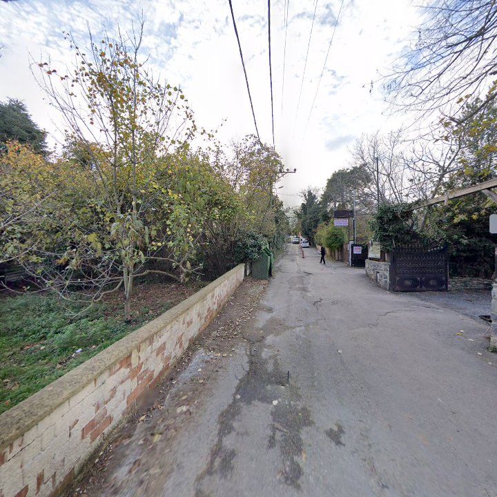 Fotoğraf 10