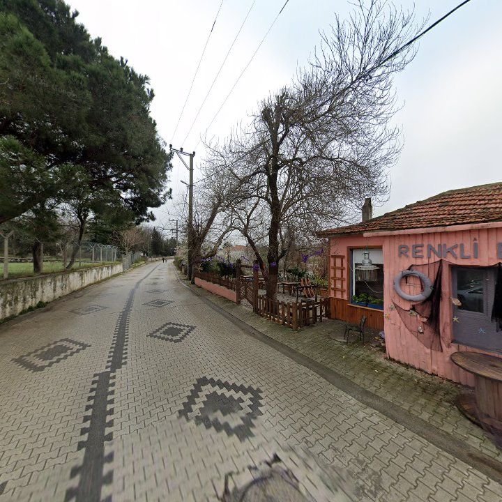 Fotoğraf 10