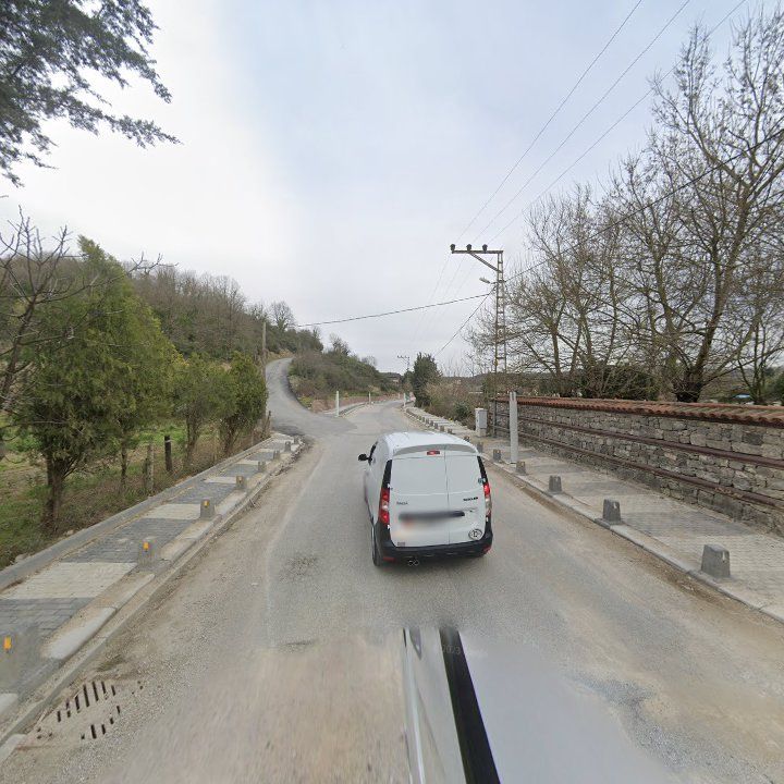 Fotoğraf 9