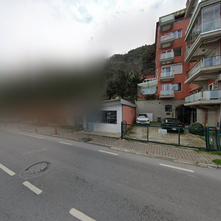 Fotoğraf 11