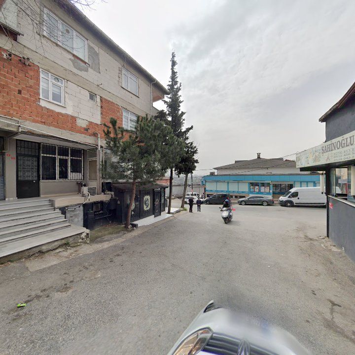 Fotoğraf 8