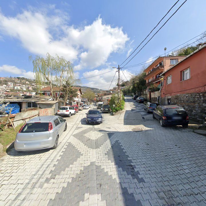 Fotoğraf 10