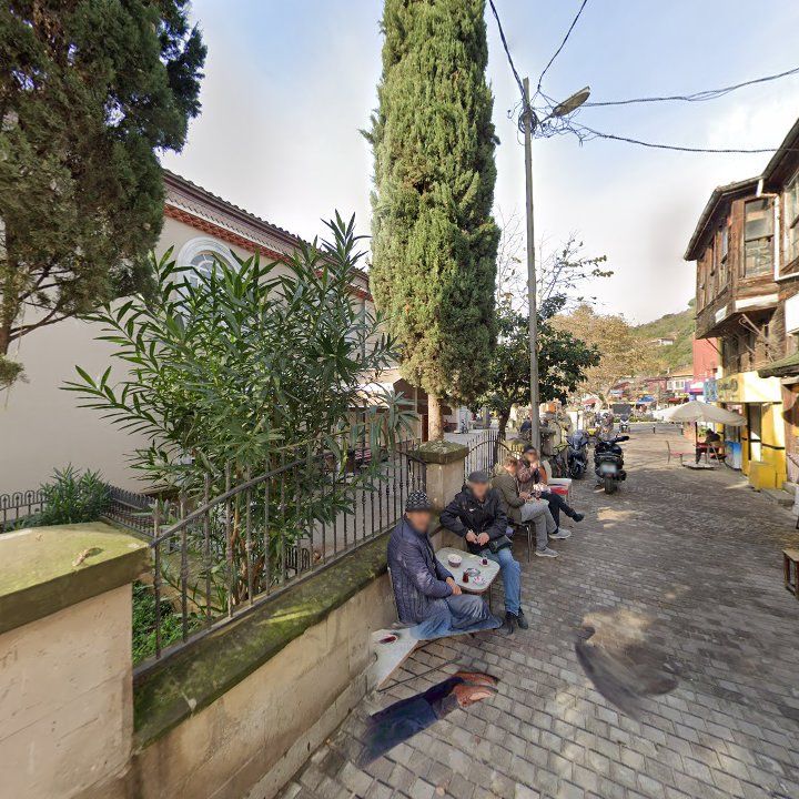 Fotoğraf 7