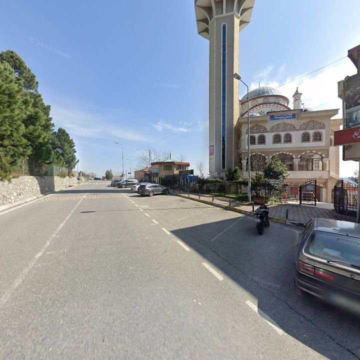 Fotoğraf 11