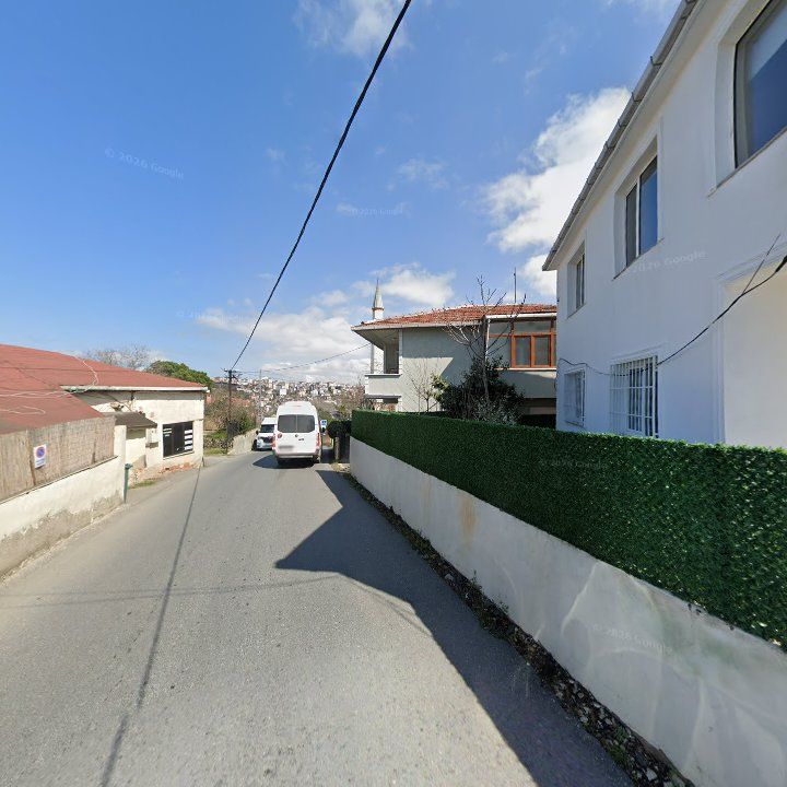 Fotoğraf 10