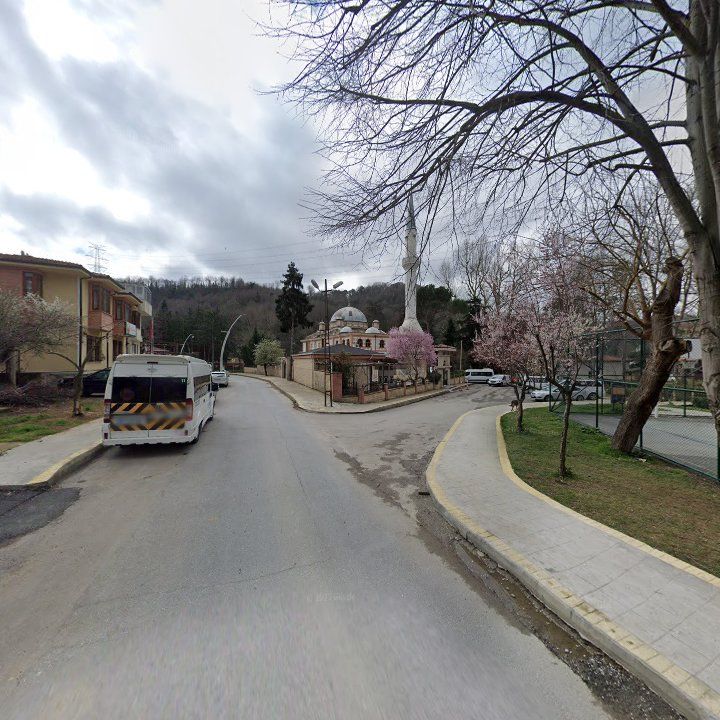Fotoğraf 6