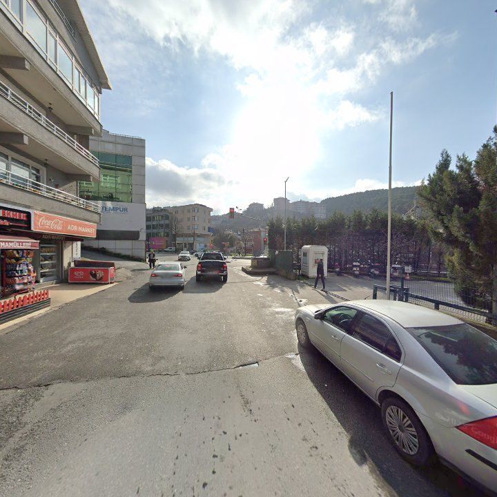 Fotoğraf 8