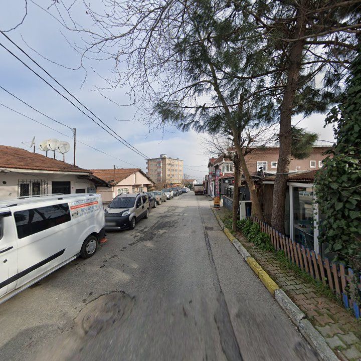 Fotoğraf 6