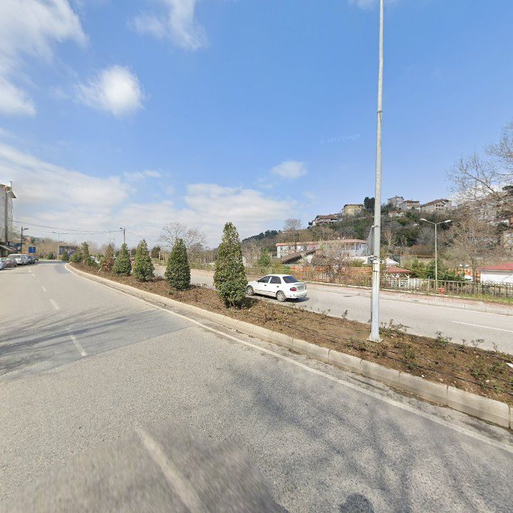 Fotoğraf 9