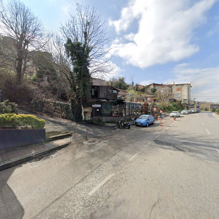 Fotoğraf 8