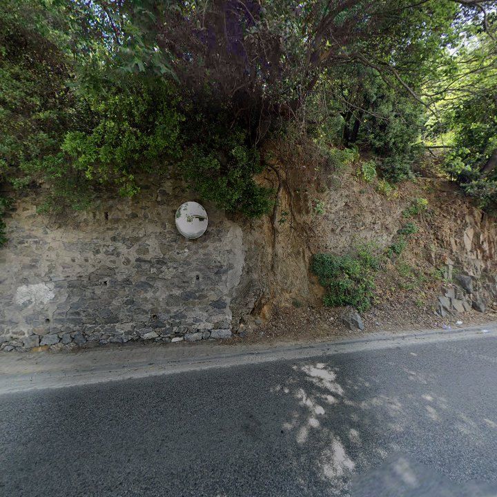 Fotoğraf 13