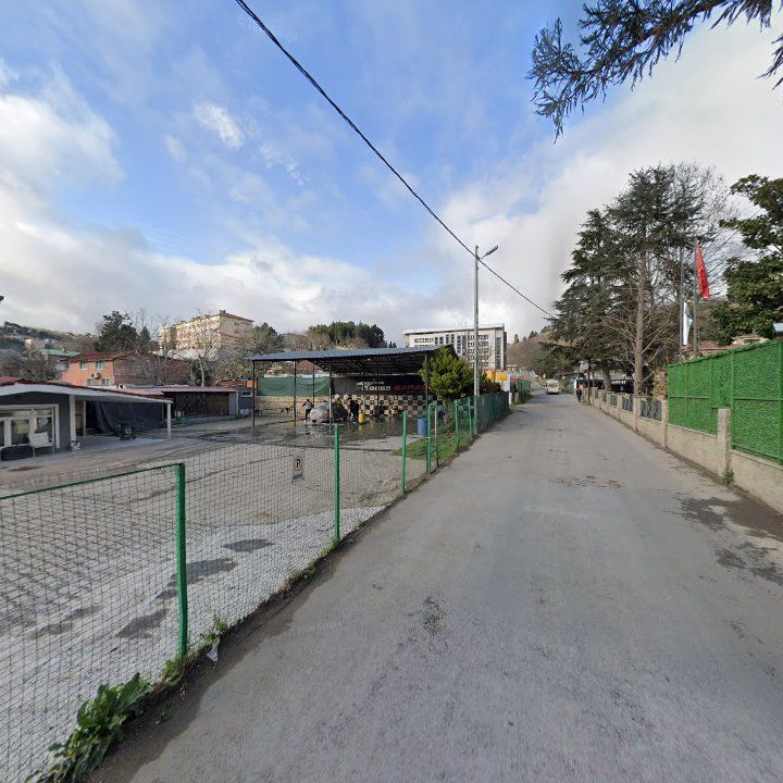 Fotoğraf 8
