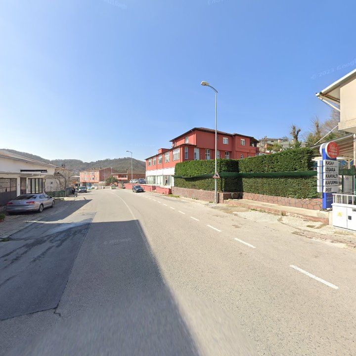 Fotoğraf 8