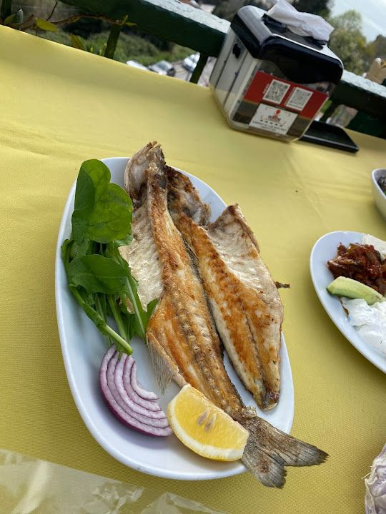 Fotoğraf 8