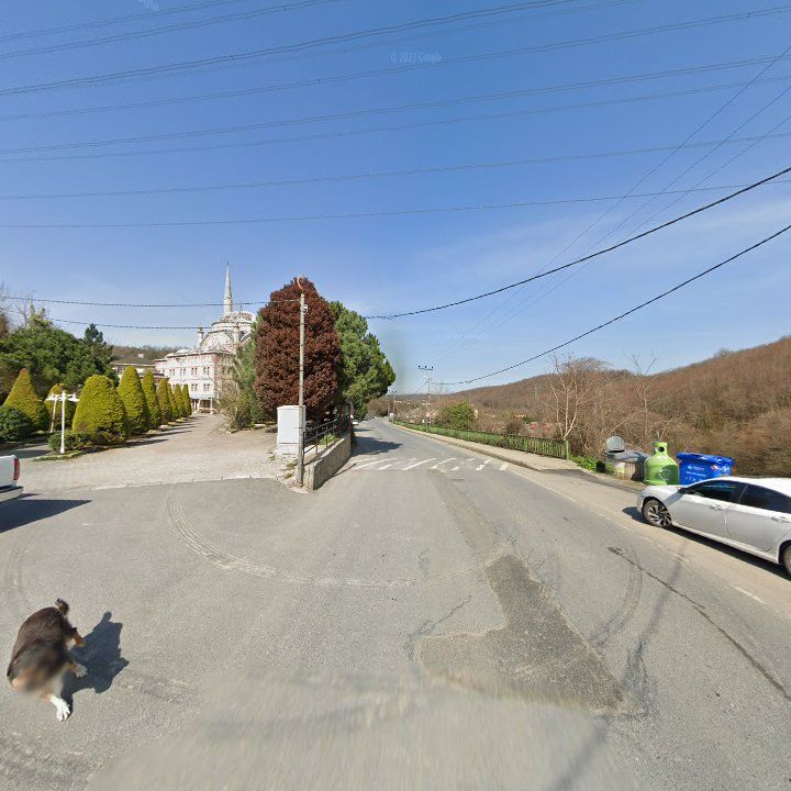 Fotoğraf 6