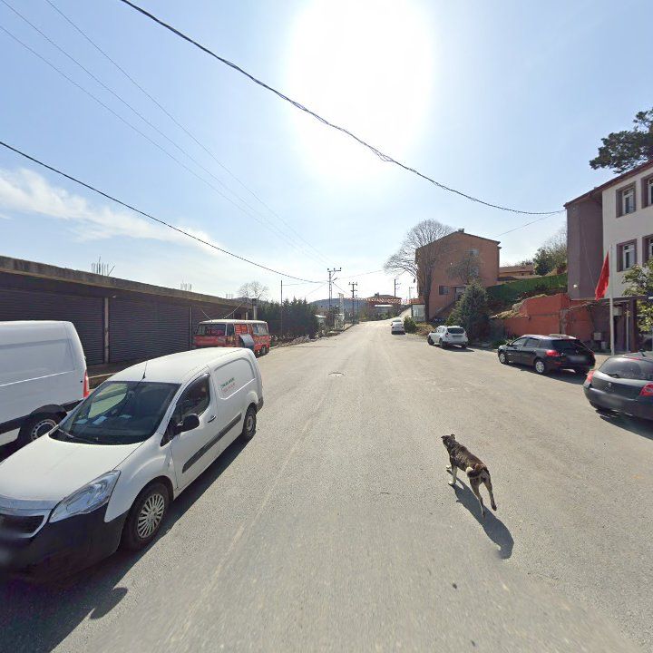 Fotoğraf 8