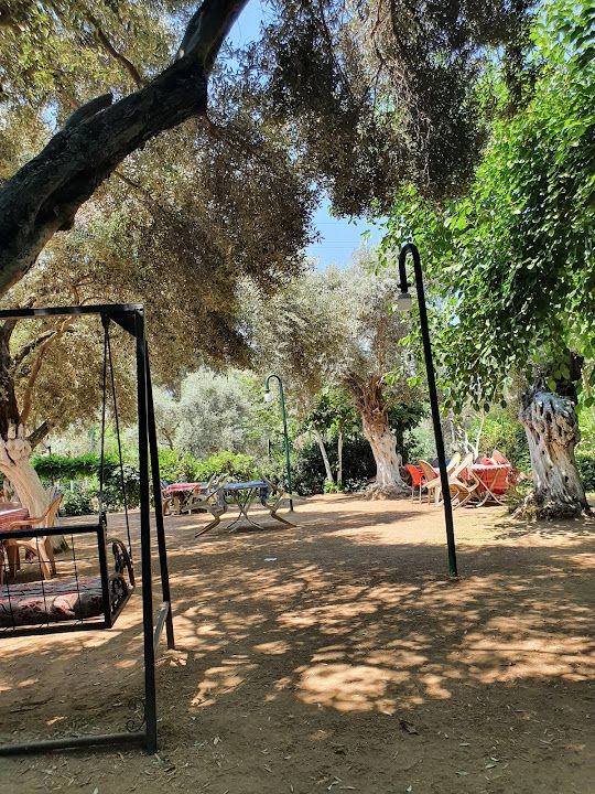 Yorum fotoğrafı 4