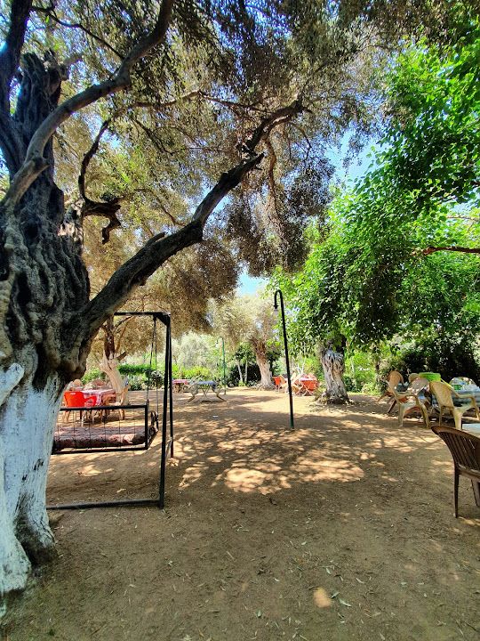 Yorum fotoğrafı 3