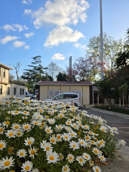Fotoğraf 68