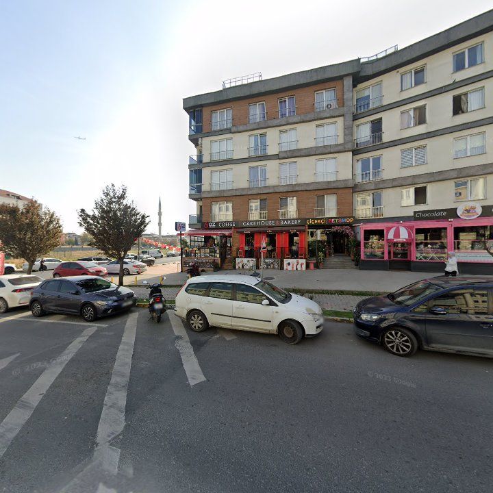 Fotoğraf 10