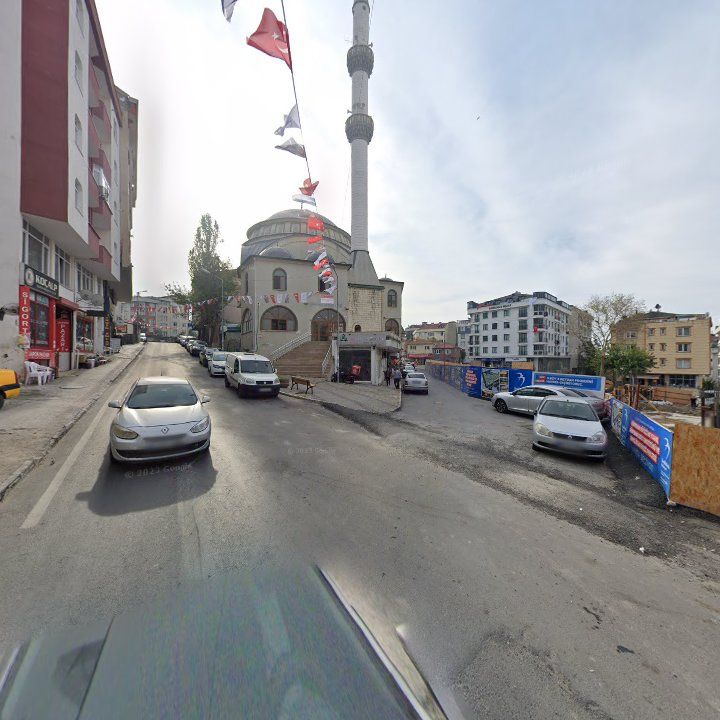 Fotoğraf 7