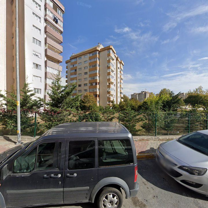 Fotoğraf 11