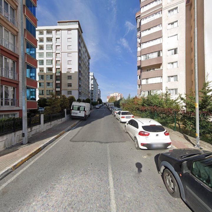 Fotoğraf 10