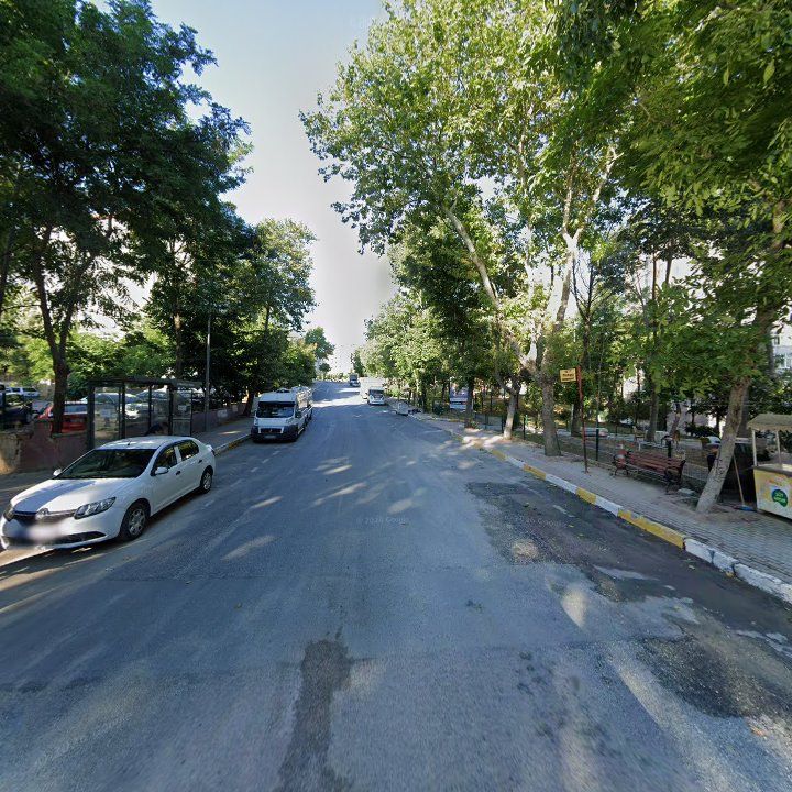 Fotoğraf 8