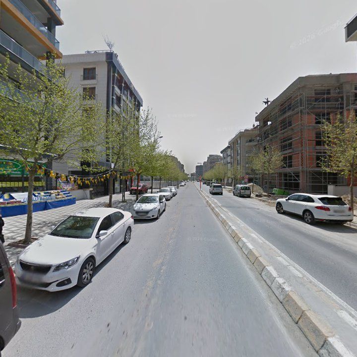 Fotoğraf 9