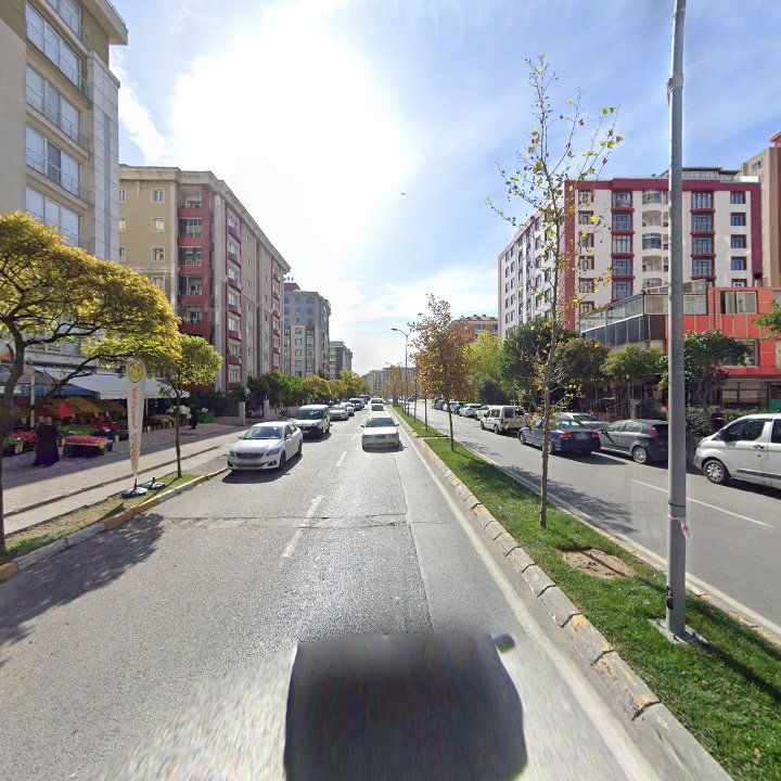 Fotoğraf 12