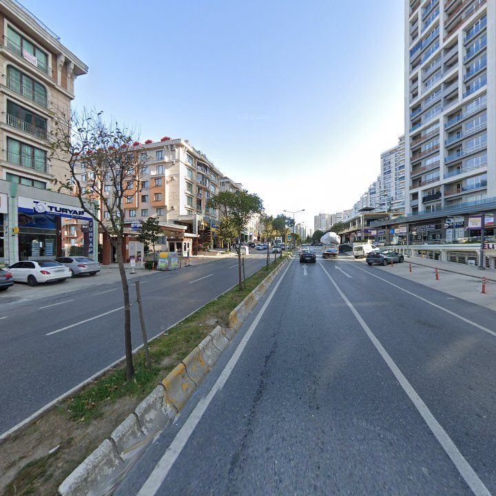 Fotoğraf 12