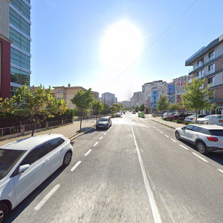 Fotoğraf 11
