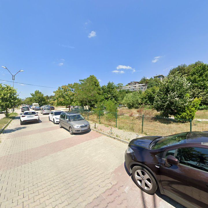 Fotoğraf 10
