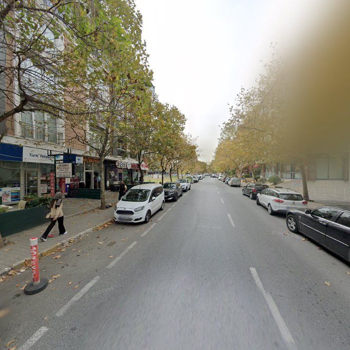 Fotoğraf 8