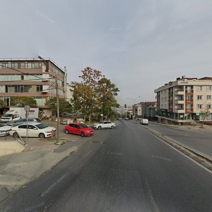 Fotoğraf 11