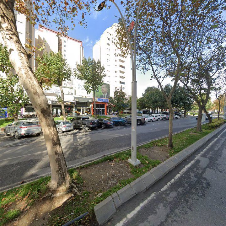 Fotoğraf 9