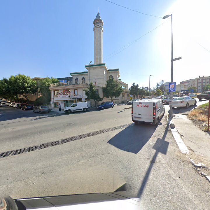 Fotoğraf 9