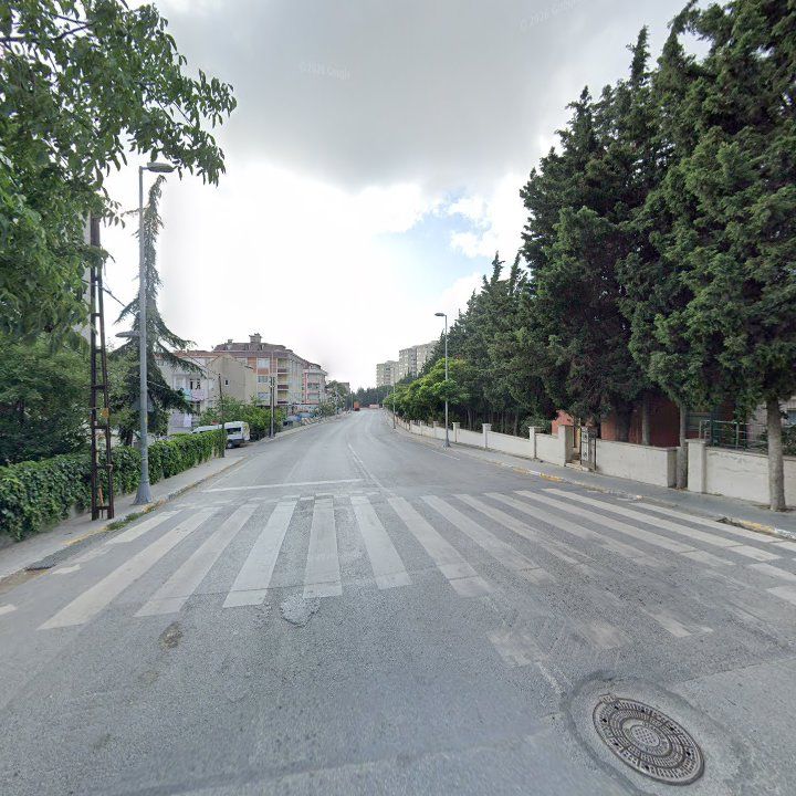 Fotoğraf 11