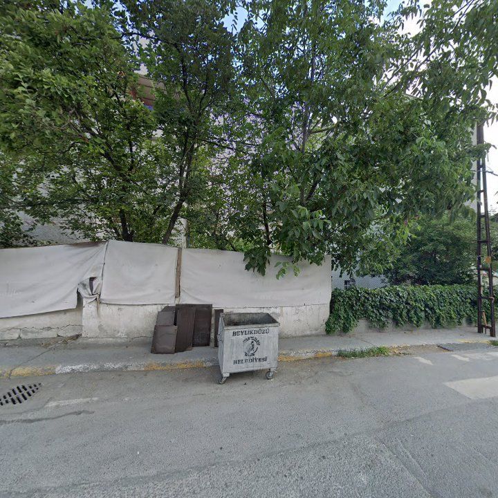 Fotoğraf 10