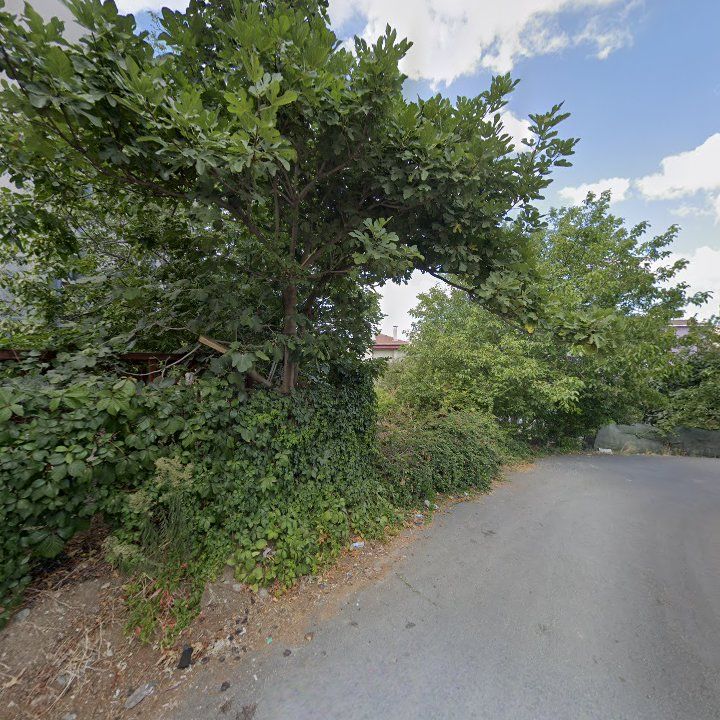 Fotoğraf 14