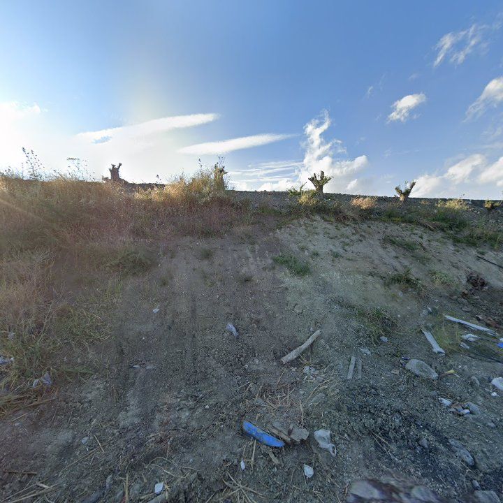 Fotoğraf 13