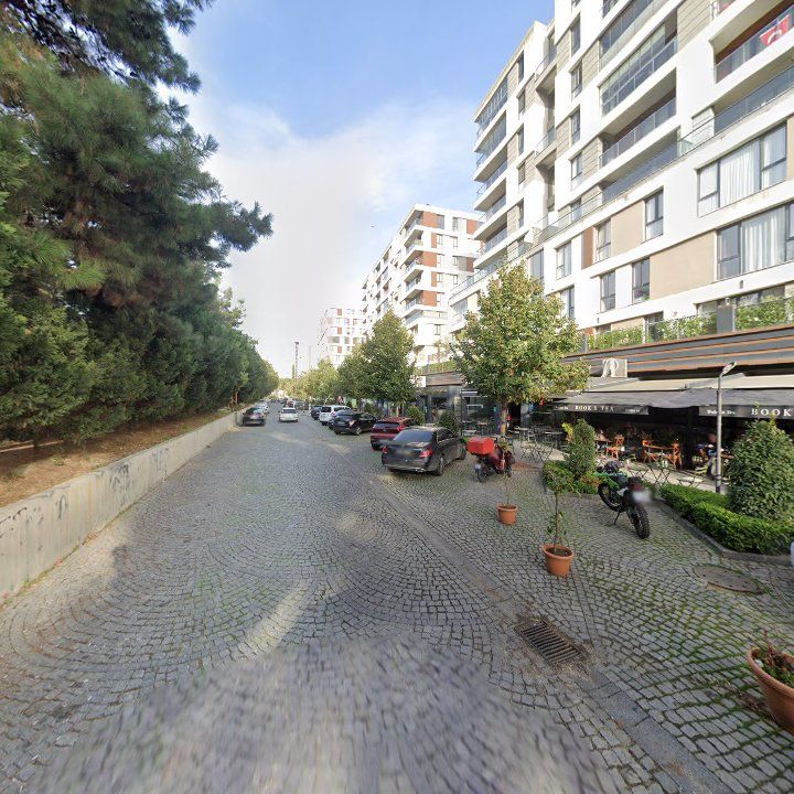 Fotoğraf 12