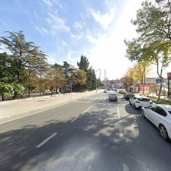 Fotoğraf 8