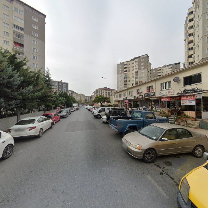 Fotoğraf 10