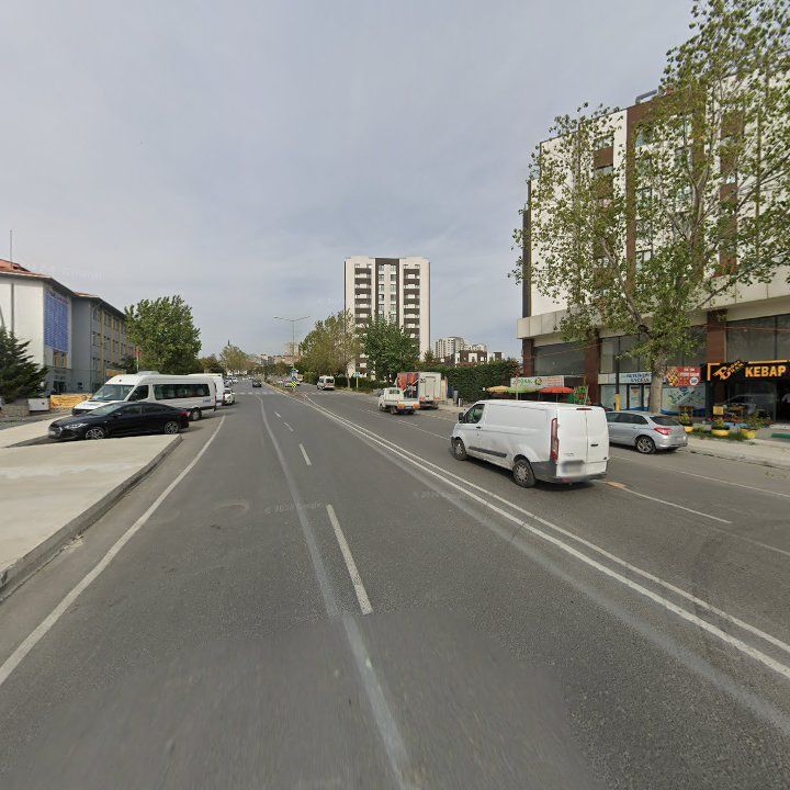 Fotoğraf 11